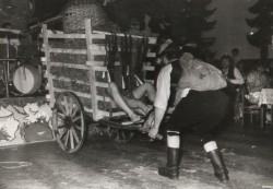 1988 8