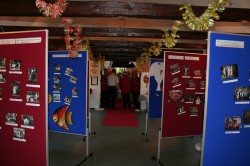 40 Jahre DKS 029
